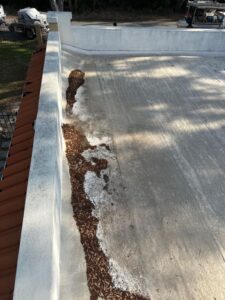 debris removal from a rooftop with leaves and dirt accumulation visible along the edges of the surface