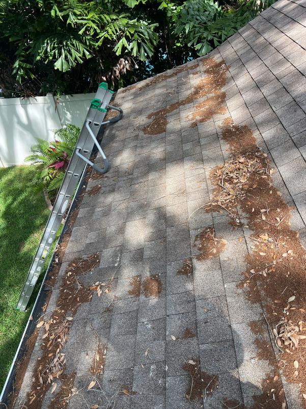 gutter cleaning service removing debris from a roof with a ladder placed nearby and leaves scattered across shingles