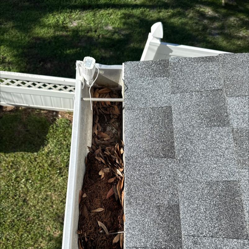 clogged gutter filled with leaves and debris near a gray shingle roof showing need for cleaning services