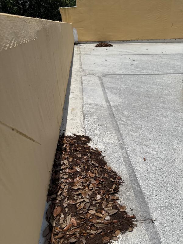 debris accumulation in a corner near a wall possibly indicating a need for gutter or roof cleaning services
