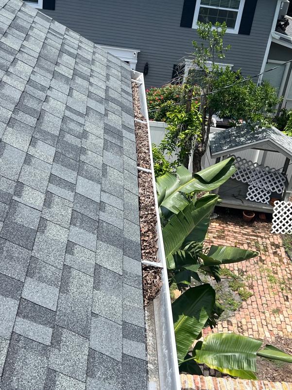 gutter cleaning service removing debris from a roof gutter with visible plants and a paved area in the background