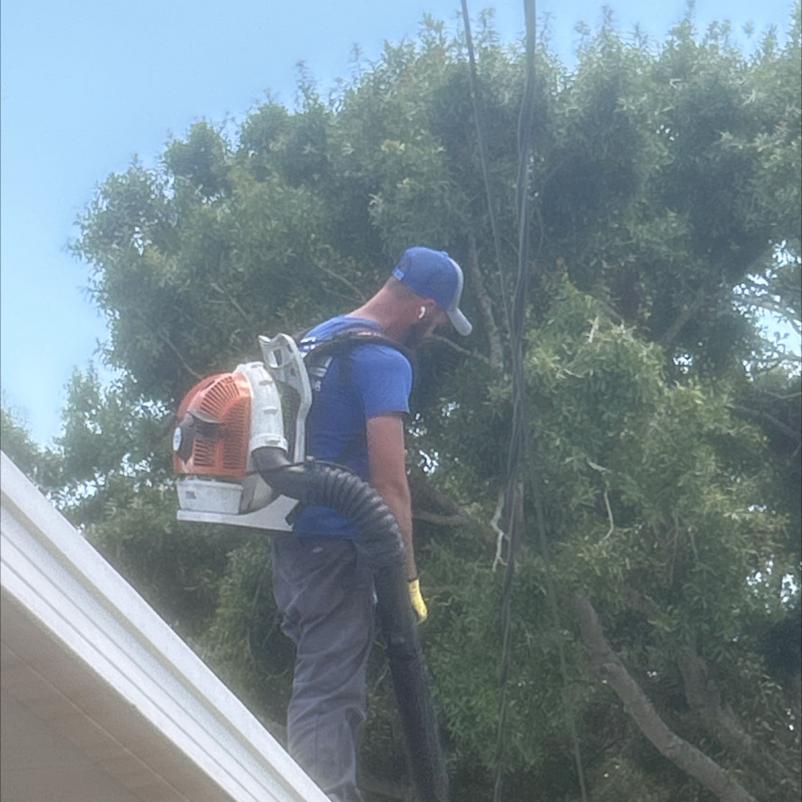 worker using a backpack blower on a roof to clear debris near trees and power lines