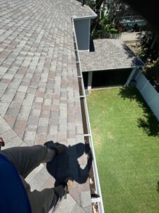 cleaning gutters on a residential roof with visible leaves and debris accumulated in the gutter system