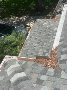 gutter cleaning service removing leaves and debris from a roof area with asphalt shingles visible around the edges