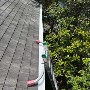 ladder positioned next to a roof being prepared for gutter cleaning amid green foliage