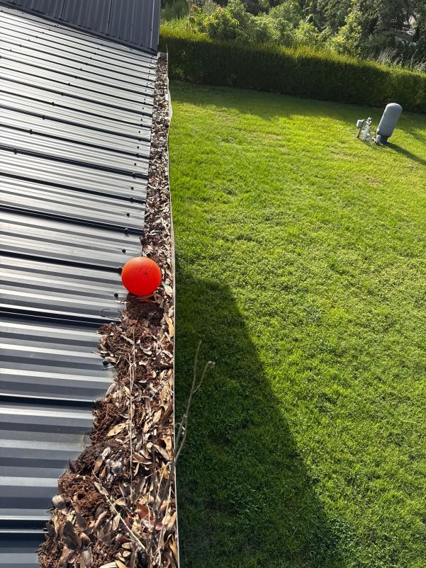 gutter maintenance being performed with leaves and debris collected along the edge of a metal roof with a ball nearby