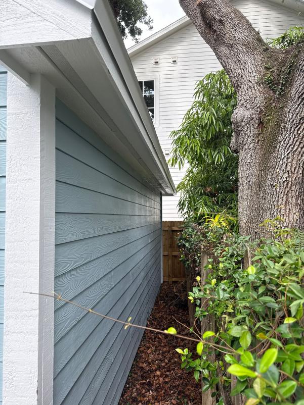 cleaning moss and debris from building exterior near tree and shrubs with narrow space between structures