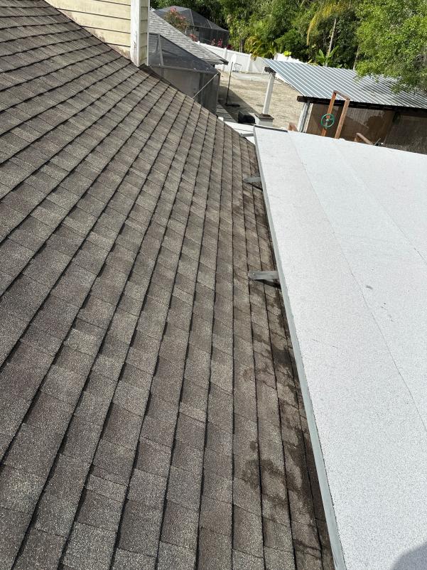 roof cleaning showing shingles with dark streaks and a flat roof section adjacent to it needing maintenance