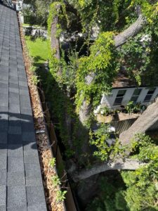 gutter cleaning showing accumulated debris and overgrown vegetation near a rooftop with a view of surrounding trees and yard