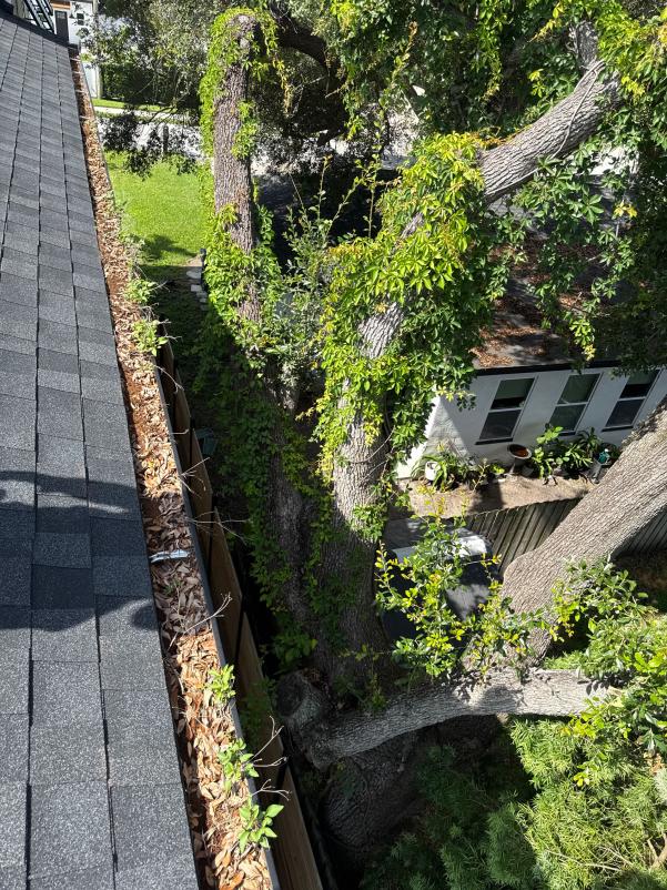 gutter cleaning showing accumulated debris and overgrown vegetation near a rooftop with a view of surrounding trees and yard