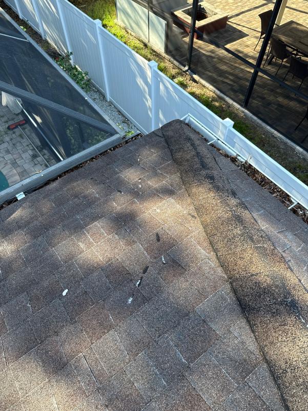 dirty roof shingles with debris accumulation showing signs of potential cleaning services needed for proper maintenance
