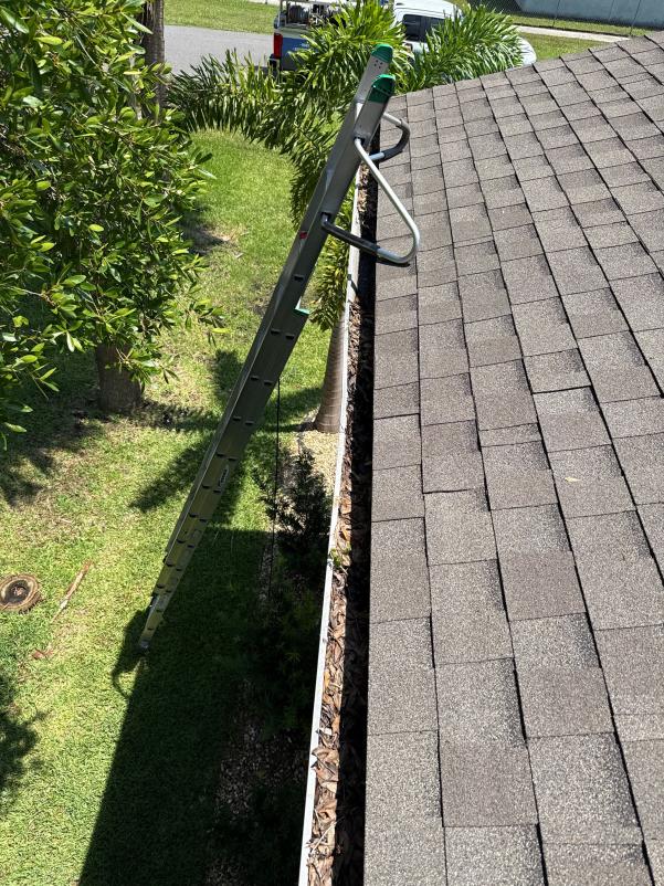 ladder positioned near gutter showing debris accumulation suggesting gutter cleaning service being performed