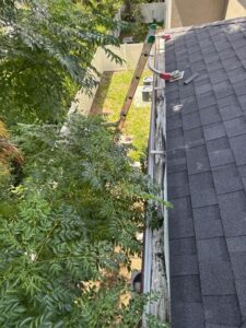 gutter cleaning with a ladder positioned near a roof covered in leaves and debris near a grassy area