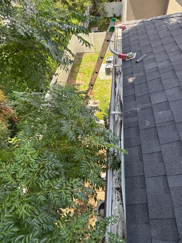 gutter cleaning with a ladder positioned near a roof covered in leaves and debris near a grassy area