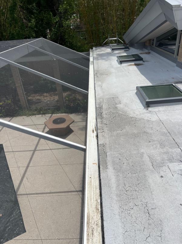 gutter cleaning service on a residential roof showing debris and dirt accumulation near roof edges and gutters