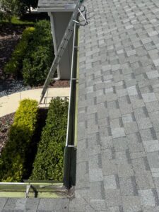 gutter cleaning service using a ladder to access a roof with partially obstructed gutter and nearby bushes