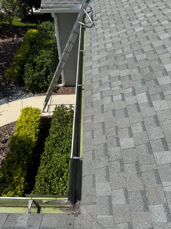 gutter cleaning service using a ladder to access a roof with partially obstructed gutter and nearby bushes
