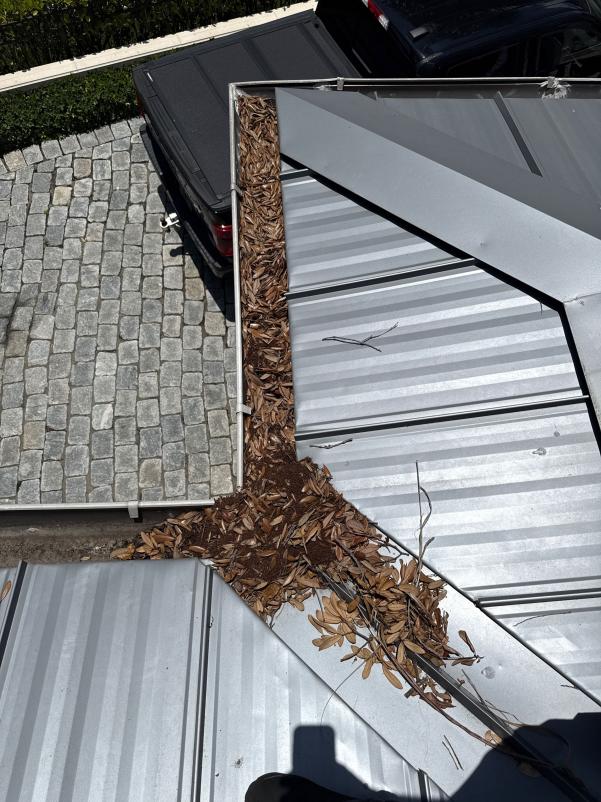 gutter cleaning service retrieving debris like leaves and twigs from a metal roof area near a drainage system