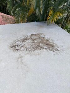 dark stains on a flat concrete surface possibly indicating mold or mildew accumulation needing professional cleaning services