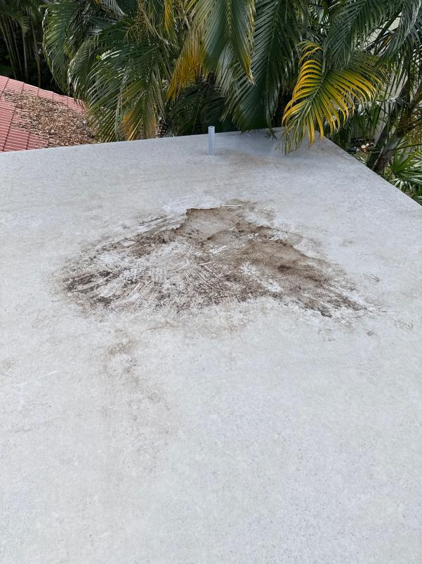 dark stains on a flat concrete surface possibly indicating mold or mildew accumulation needing professional cleaning services