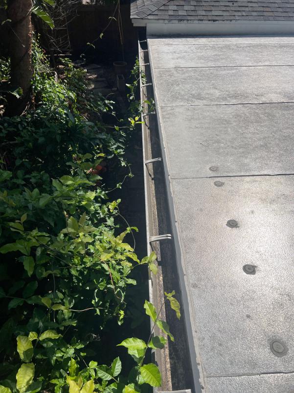gutter cleaning with visible overgrowth and debris near the edge of a roof surface likely to prevent water flow