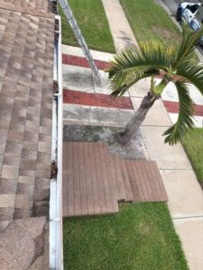 gutter cleaning process showing debris buildup on roof and ladder positioned nearby for access to the gutters