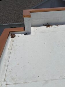 roof cleaning service with debris accumulation on a flat surface showing maintenance needs and possible water drainage issues