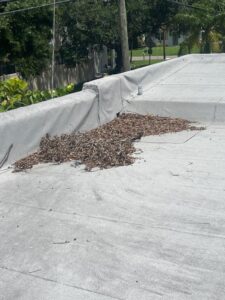 leaves and debris accumulated on a flat roof needing cleaning maintenance