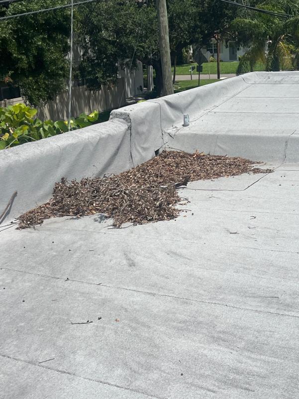 leaves and debris accumulated on a flat roof needing cleaning maintenance