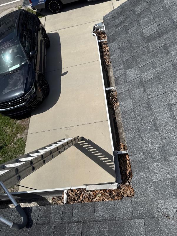 gutter cleaning with a ladder positioned alongside a roof and debris accumulation visible in the gutter