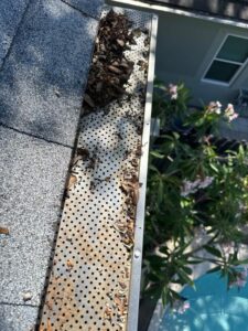 gutter cleaning showing debris accumulation on gutter guards and roof shingles with plants visible below