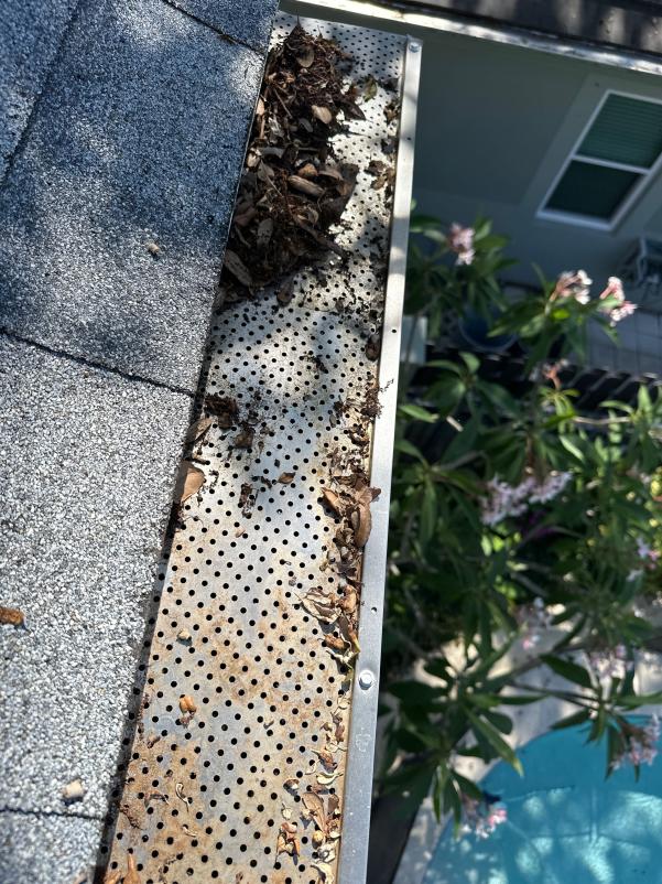 gutter cleaning showing debris accumulation on gutter guards and roof shingles with plants visible below