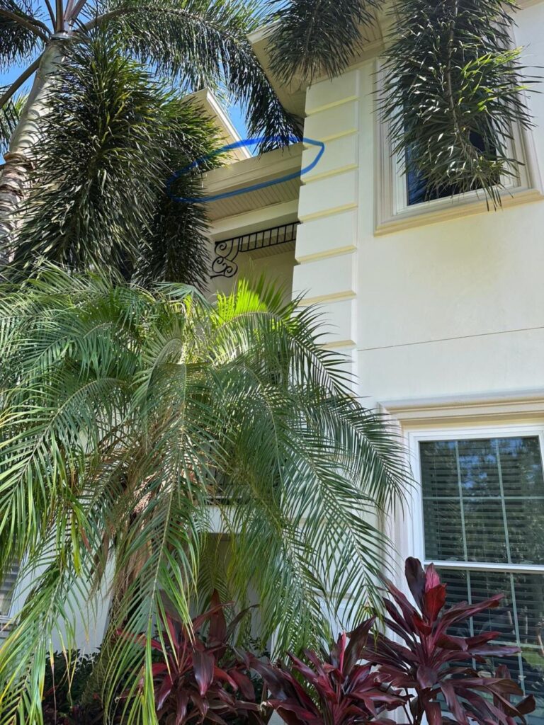 house washing with focus on palm trees and clean exterior surfaces near windows and decorative elements below the roofline