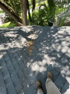 gutter cleaning service removing leaves and debris from a gray shingled roof with shadow patterns from nearby trees