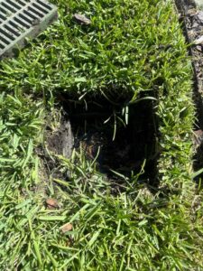 gutter cleaning service exposing debris in a drainage area surrounded by grass and leaves