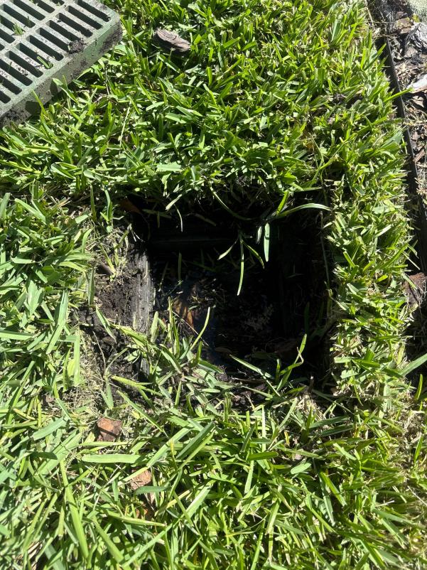 gutter cleaning service exposing debris in a drainage area surrounded by grass and leaves