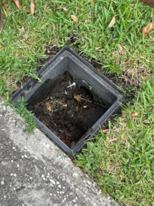 drainage box exposed with dirt and debris visible around it near green grass area
