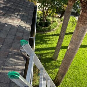 gutter cleaning service with a ladder positioned on a sloped roof near greenery and palm trees