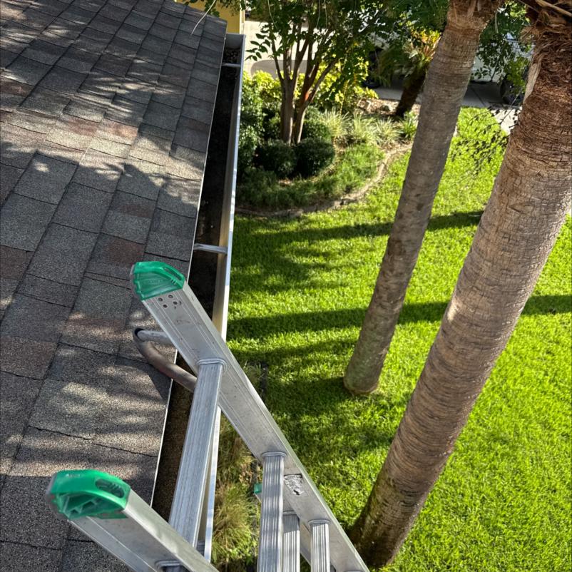 gutter cleaning service with a ladder positioned on a sloped roof near greenery and palm trees