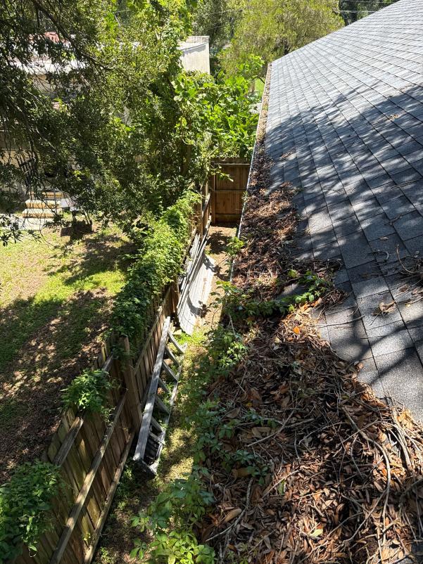 gutter cleaning service removing debris and leaves from gutters near a sloped roof with a ladder nearby