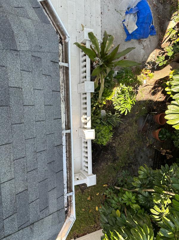 gutter cleaning along a sloped roof with vegetation and pavers visible in the surrounding area