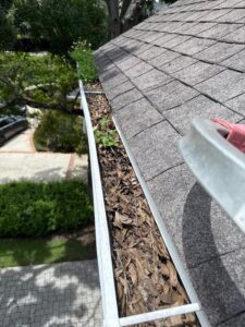 gutter cleaning showing debris and leaves in the gutter with some plants growing along the edge of the roof