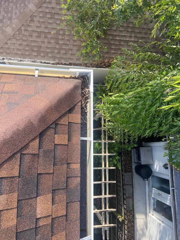 gutter cleaning service showing debris on the roof near the gutter with tools and ladder nearby