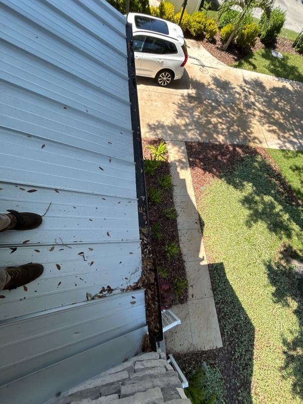 gutter cleaning service removing debris from a metal roof edge showing a clear view of surrounding landscaping and driveway