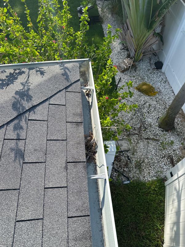 gutter cleaning service showing debris and leaves in a residential gutter with nearby plants and landscaping visible