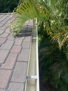 gutter cleaning service showing debris buildup along a roof edge with palm leaves in the background