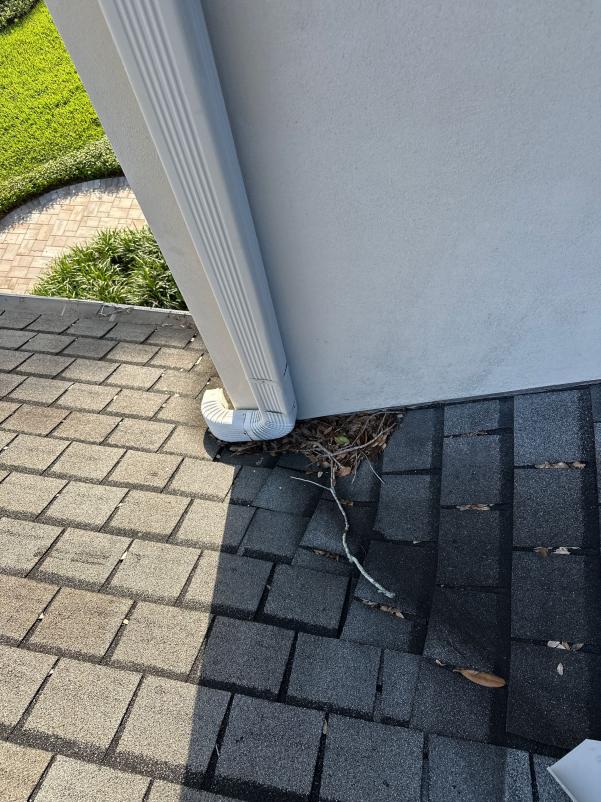 clogged gutter with debris and leaves alongside the roof shingle needing cleaning and maintenance
