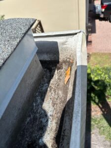 gutter cleaning service showing debris and dirt accumulation with leaves inside the gutter system in need of maintenance