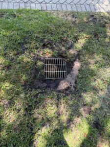 drainage grate set into the ground surrounded by bare soil and grass showing signs of moisture and disturbance