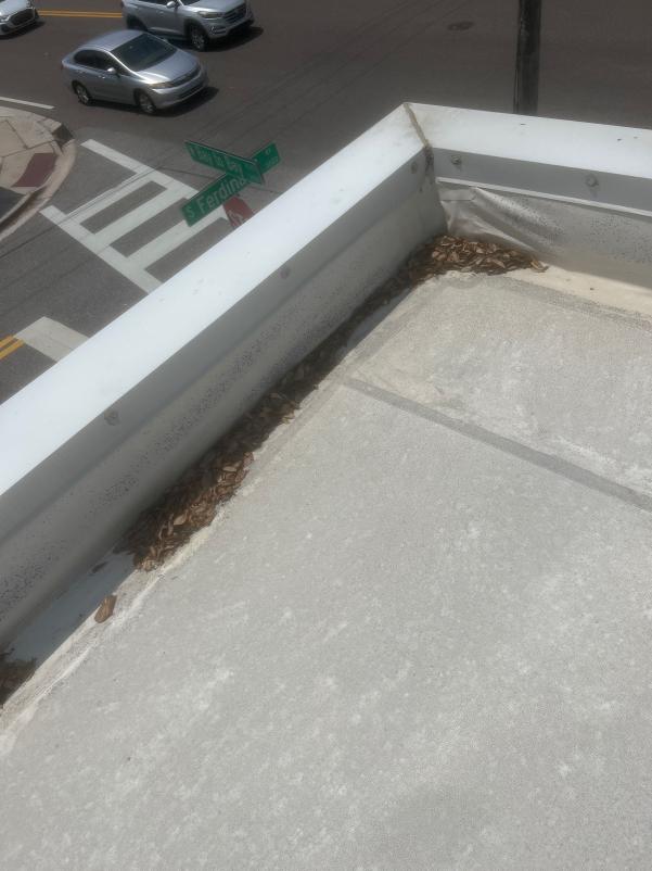 dirty gutters filled with debris located at a rooftop corner near an intersection in south tampa